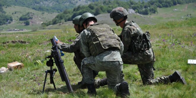 Instruktorët e Forcës Tokësore të Shqipërisë trajnuan për 2 javë Forcat e Sigurisë së Kosovës në artileri tokësore e xhenio
