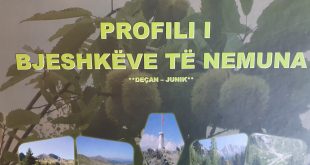 MSc. Adem Lushaj: Vështrim rreth monografisë, “Profili i Bjeshkëve Nemuna”, të autorit Sadri Lokaj