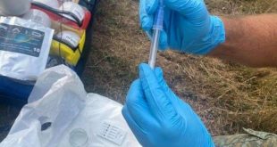 Kanë rezultuar negative analizat mikrobiologjike të mostrave në rastin e helmimit të banorëve në komunën e Deçanit