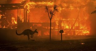 Si shkak i zjarreve masive 17 australianë kanë vdekur, 18 të tjerë janë të zhdukur, 1.400 shtëpi janë djegur