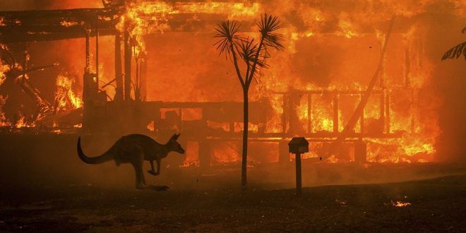 Si shkak i zjarreve masive 17 australianë kanë vdekur, 18 të tjerë janë të zhdukur, 1.400 shtëpi janë djegur