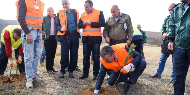 MBPZHR: Pyllëzohen 300 hektarë tokë pyjore