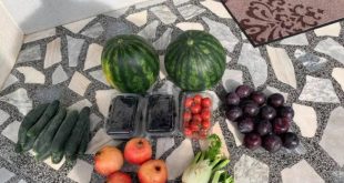 Gani Dreshaj për dy shalqinj, disa shegë, domate etj, ka paguar 78 euro, aq sa gjysma e pagës mujore e një veterani