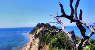 Shqiptarët nga Kosova, Maqedonia e më gjerë i kryejnë pushimet, në Shqipëri, ndërsa ata të Shqipërisë, rreziten në Greqi