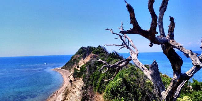 Shqiptarët nga Kosova, Maqedonia e më gjerë i kryejnë pushimet, në Shqipëri, ndërsa ata të Shqipërisë, rreziten në Greqi