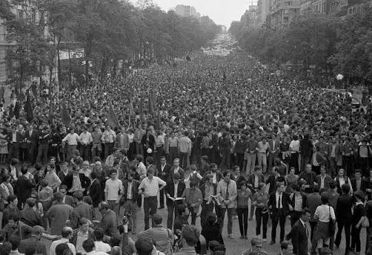 Bedri Halimi  PËRSE VAZHDON LUFTA KUNDËR VITIT 1981  X