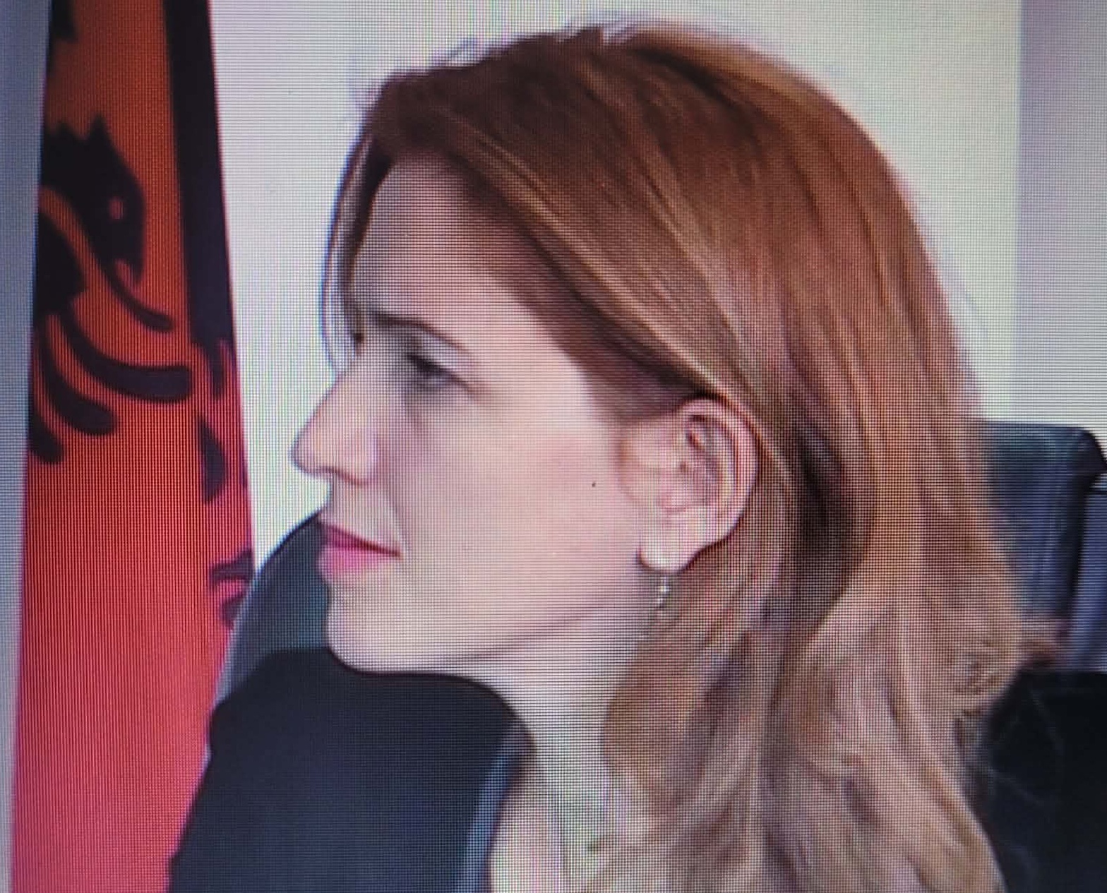 Arbana Qeriqi  Gashi  Vjosa Osmani  një presidente që i shërben imazhit personal  jo shtetit