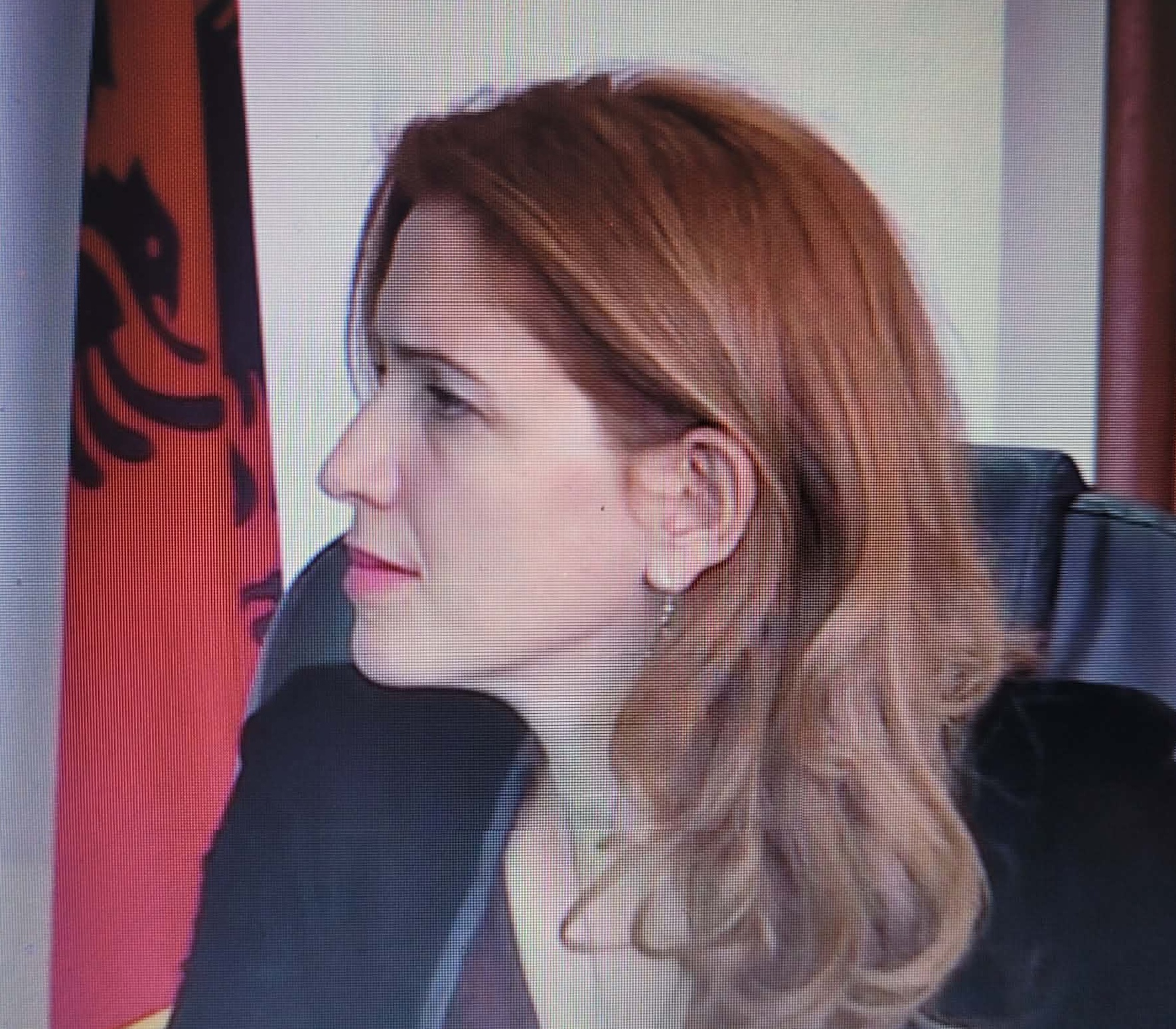 Arbana Qeriqi  Haga në shkolla  dështimi i dyfishtë  i drejtësisë dhe i shtetit tonë