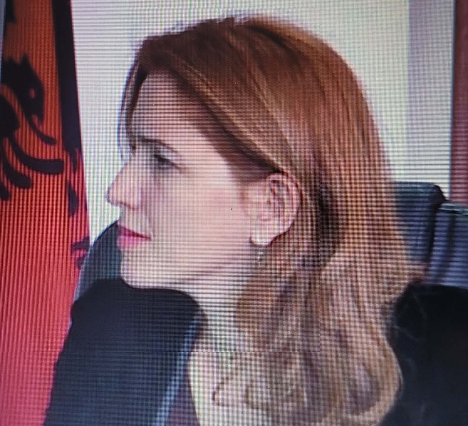 Arbana Qeriqi  Kur fëmijët bëhen instrument i fushatës