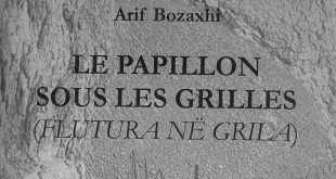 Zeqir Bekolli: Dashuria ose këmishë e ndezur nga një zjarr i padukshëm