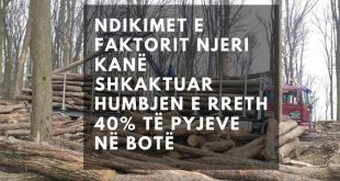 Krenare Salihu: Sot shënohet Dita Ndërkombëtare e Pyjeve