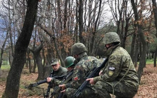 Kosova është nikoqire e ushtrimit më të madh ndërkombëtar   Defender Europe