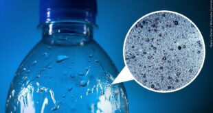 Publikohet prova e parë e pranisë së mikroplastikave në gjak, nga përdorimi i shisheve të plastikës