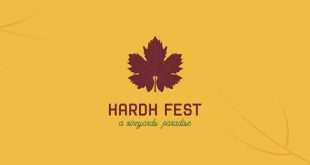 Hardh Fest 20, me identitet vizual të ri!