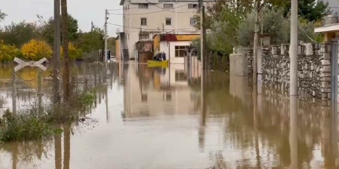 Mbi 2400 hektarë tokë dhe 590 banesa janë përmbytur në Shkodër gjatë natës për shkak reshjeve të dendura të shiut