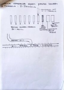 afrimveseli-7