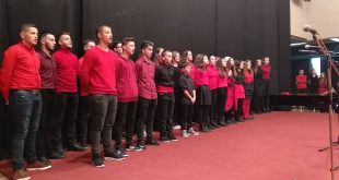 Shkolla 12 vjeçare, “Arsimi i Shqipërisë”, me rastin e 28 Nëntorit dhe Ditës së shkollës organizoi një program kulturor artistik