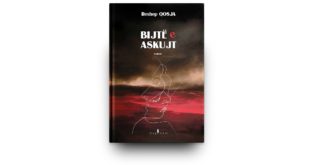 Ahmet Qeriqi: Romani “Bijtë e askujt”, një sagë letrare, bashkëkohore