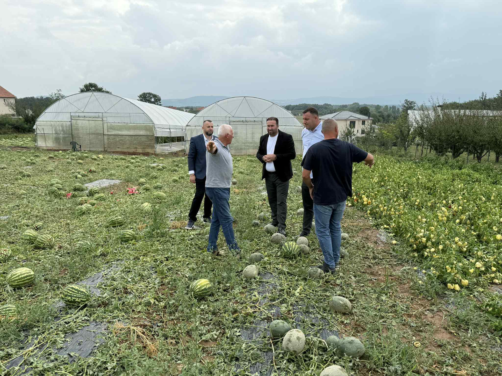 Komisionit Profesional do të bëj vlerësimin e dëmeve të shkaktuara nga breshëri dhe do të angazhohet në kompensimin e tyre për fermerët e dëmtuar
