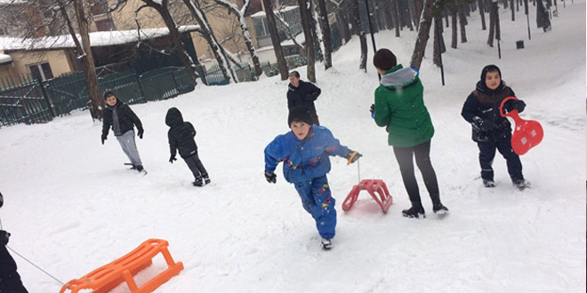 “Brezovica” në Prishtinë