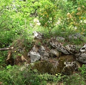 valyapiece5avi 1 install