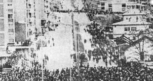Demonstratat e vitit 1981