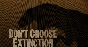 UNDP: Fushata “Mos Zgjidh Shfarosjen” vazhdon me projektimin e siluetës së dinosaurit në ndërtesën e qeverisë