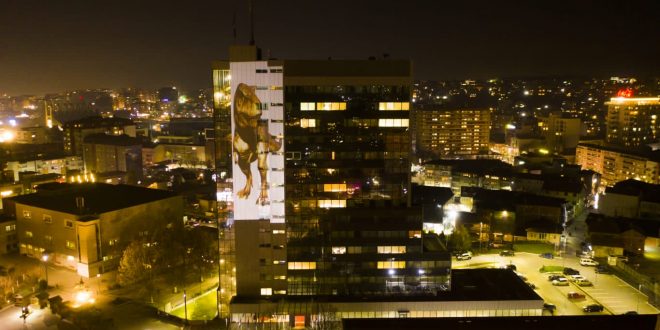 UNDP: Në ndërtesë e Qeverisë projektohet afishohet figura e Dinos me mesazhin: Mos zgjidh shfarosjen