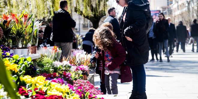 Sot edhe në Kosovë shënohet 8 Marsi - Dita Ndërkombëtare e Gruas, e njohur ndryshe si Dita e Nënës