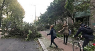 Në Gjermani, shtatë të vdekur pas kalimit të stuhisë Herwart në Evropën Qendrore