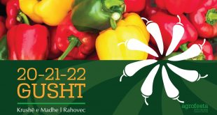 PROMO ZYRTARE e “AgroFESTA” 2021, këta janë artistët pjesmarrës