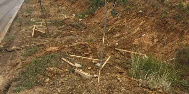 Haskuka: Përkundër sabotimeve të vandalëve që shkatërojnë investimet, gjelbërimi do t’i kthehet Prizrenit