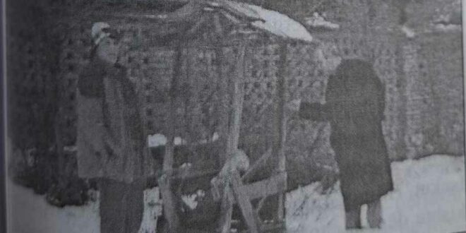 Prof.dr. Sabile Keçmezi- Basha: JATAKËT DHE BUNKERËT E LIRISË - BUNKERI I NGRITUR NË HAMBAR (37)