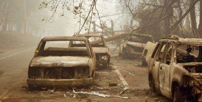 31 persona kanë vdekur si pasojë e zjarreve të pyjeve në Kaliforni, derisa edhe 200 të tjerë janë ende të zhdukur