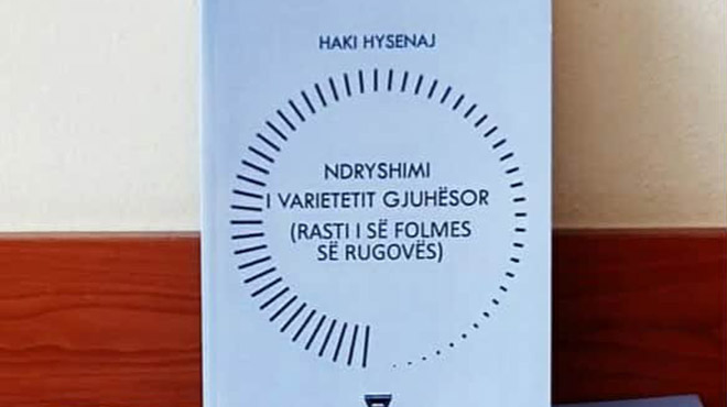 msc-adem-lushaj-rugovishtja-mes-ruajtjes-dhe-asimilimit-gjuhesor