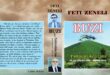 Albert Z. ZHOLI; Kur pena e Feti Zenelit frymon fllad Vjose dhe erë Buzi