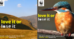 WWF fillon fushatën rajonale “Love it or lose it” e cila na fton të gjithëve ta duam natyrën në mënyrë që ajo të mos zhduket.