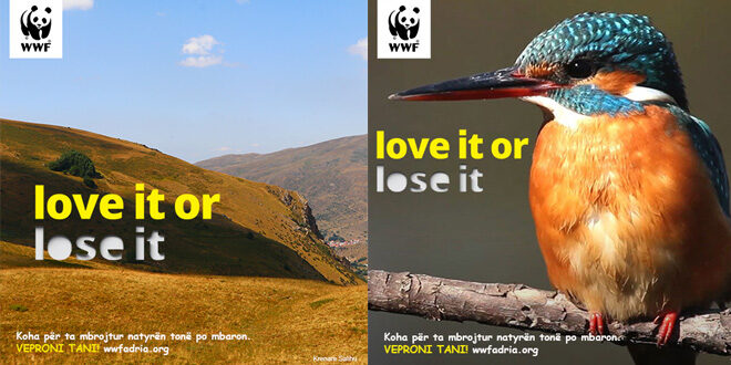 WWF fillon fushatën rajonale “Love it or lose it” e cila na fton të gjithëve ta duam natyrën në mënyrë që ajo të mos zhduket.