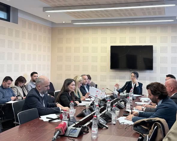 PDK ja kërkon strategji institucionale për çështjen e Hagës në Komisionin për Punë të Jashtme