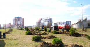 Aktivitete nga Aksioni rajonal i mbjelljes së pemëve si pjesë e përpjekjeve për ajër më të pastër “Pema e Miqësisë”