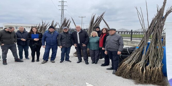 Komuna e Vitisë përkrah ngritjen e plantacioneve të arrës