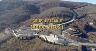 Grupi i Recakut - Sahide Metushi