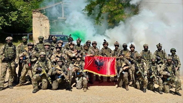 Shqipëria dërgon një togë ushtarësh në brigadën shumëkombëshe të NATO s në Rumani