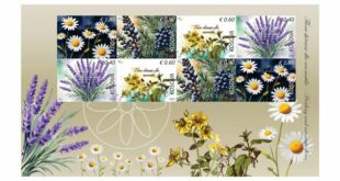 Pulla postare “Flora shëruese dhe aromatike”