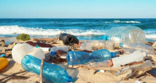  WWF mirëpret vendimin e Asamblesë Mjedisore të Kombeve të Bashkuara rreth fillimit të bisedimeve për një traktat global për plastikën