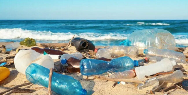  WWF mirëpret vendimin e Asamblesë Mjedisore të Kombeve të Bashkuara rreth fillimit të bisedimeve për një traktat global për plastikën