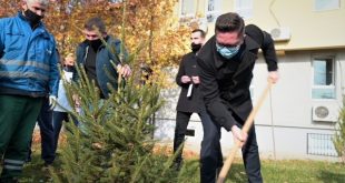 Besian Mustafa: Mbjellja e 1.8 milion fidanëve përgjatë 10 viteve të ardhshme do të jetë vlerë e shtuar për vendin tonë