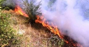 MPBAP apelon qytetarët që të jenë të kujdesshëm e të shmangin të gjithë shkaktarët e mundshëm të zjarrit në natyrë