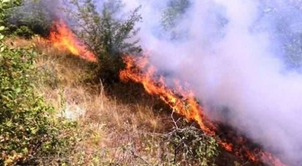 MPBAP apelon qytetarët që të jenë të kujdesshëm e të shmangin të gjithë shkaktarët e mundshëm të zjarrit në natyrë