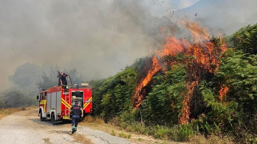 Temperaturat përkeqësojnë situatën me zjarret  41 vatra të raportuara sot  14 ende aktive